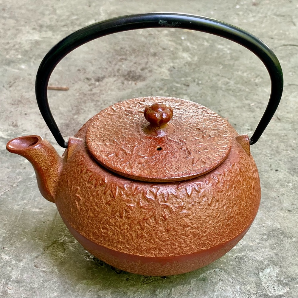 Joyce Chen Asian Collection Year of The Dragon Cast Iron Tetsubin Kettle Teapot
